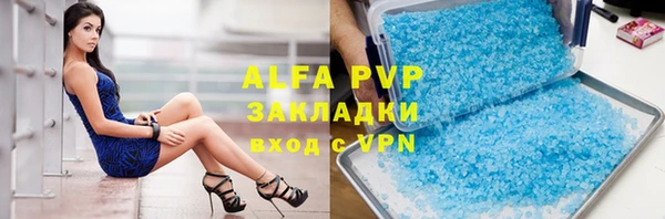 сатива Верея