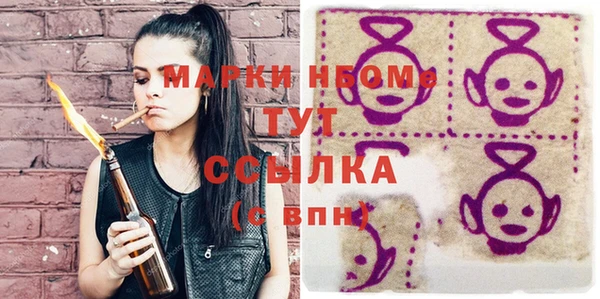 сатива Верея
