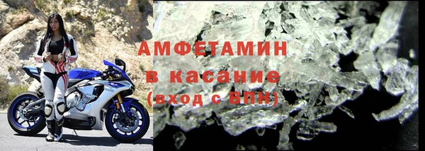 сатива Верея