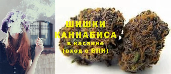 сатива Верея